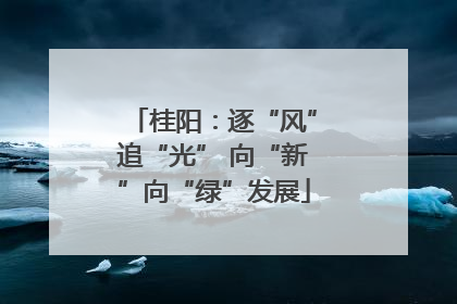 桂阳：逐“风”追“光” 向“新”向“绿”发展