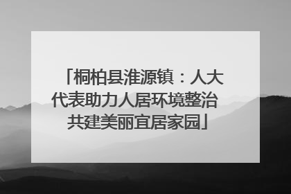 桐柏县淮源镇：人大代表助力人居环境整治 共建美丽宜居家园