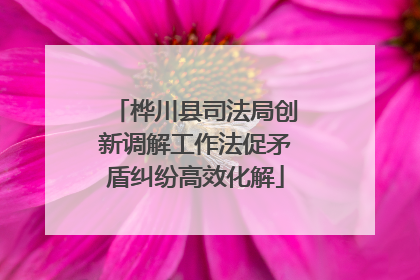 桦川县司法局创新调解工作法促矛盾纠纷高效化解