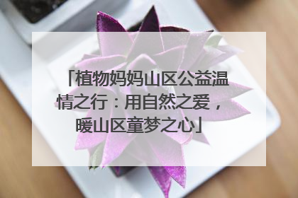 植物妈妈山区公益温情之行：用自然之爱，暖山区童梦之心