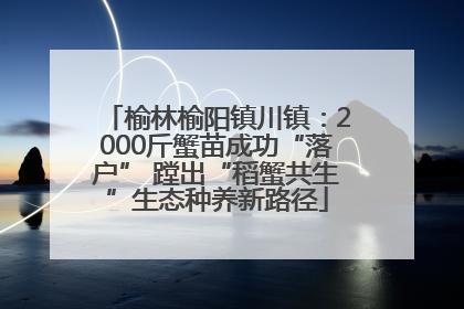 榆林榆阳镇川镇：2000斤蟹苗成功“落户” 蹚出“稻蟹共生”生态种养新路径