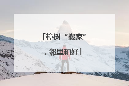 樟树“搬家”，邻里和好