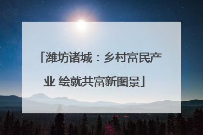 潍坊诸城：乡村富民产业 绘就共富新图景