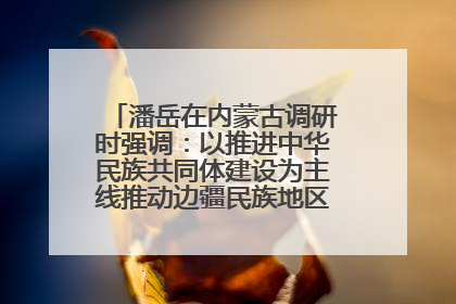 潘岳在内蒙古调研时强调：以推进中华民族共同体建设为主线推动边疆民族地区高质量发展