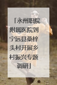 永州职院附属医院到宁远县桑梓头村开展乡村振兴专题调研