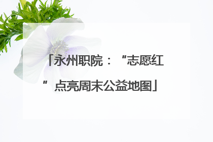 永州职院：“志愿红”点亮周末公益地图