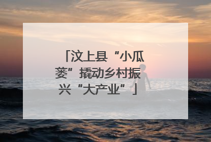 汶上县“小瓜蒌”撬动乡村振兴“大产业”