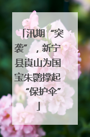 汛期“突袭”，新宁县崀山为国宝朱鹮撑起“保护伞”