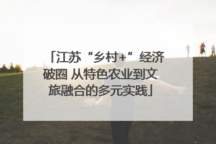 江苏“乡村+”经济破圈 从特色农业到文旅融合的多元实践