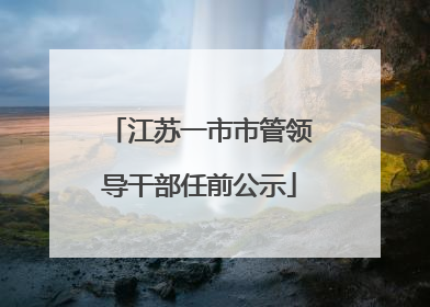 江苏一市市管领导干部任前公示
