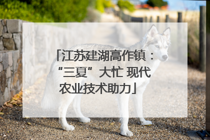 江苏建湖高作镇：“三夏”大忙 现代农业技术助力