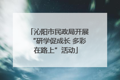 沁阳市民政局开展“研学促成长 多彩在路上”活动