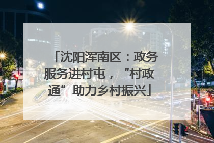 沈阳浑南区：政务服务进村屯，“村政通”助力乡村振兴