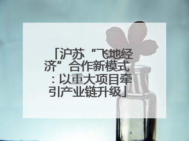 沪苏“飞地经济”合作新模式：以重大项目牵引产业链升级