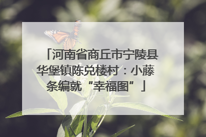 河南省商丘市宁陵县华堡镇陈兑楼村：小藤条编就“幸福图”