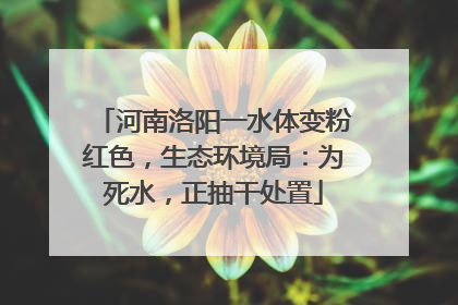 河南洛阳一水体变粉红色，生态环境局：为死水，正抽干处置