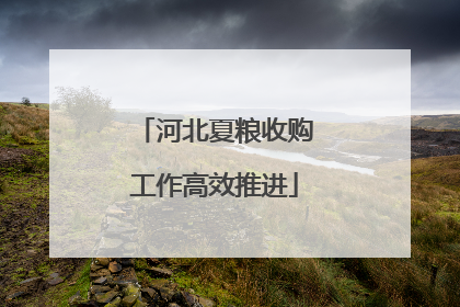 河北夏粮收购工作高效推进