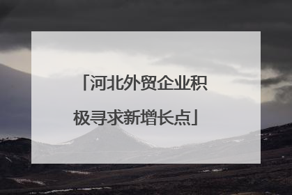河北外贸企业积极寻求新增长点