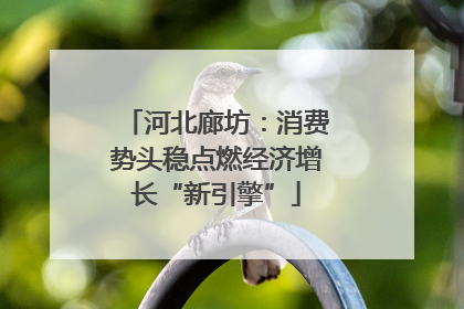 河北廊坊：消费势头稳点燃经济增长“新引擎”
