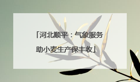 河北顺平：气象服务助小麦生产保丰收