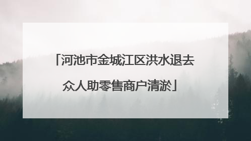河池市金城江区洪水退去 众人助零售商户清淤