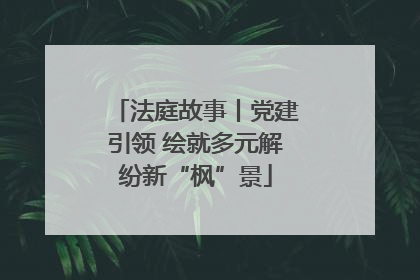 法庭故事丨党建引领 绘就多元解纷新“枫”景