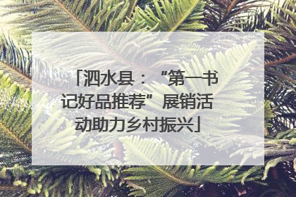 泗水县：“第一书记好品推荐”展销活动助力乡村振兴