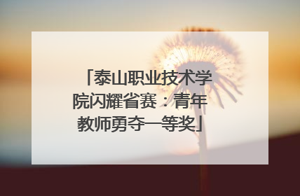 泰山职业技术学院闪耀省赛：青年教师勇夺一等奖