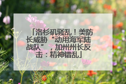 洛杉矶骚乱！美防长威胁“动用海军陆战队”，加州州长反击：精神错乱