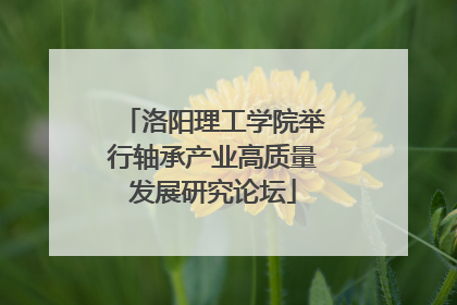 洛阳理工学院举行轴承产业高质量发展研究论坛