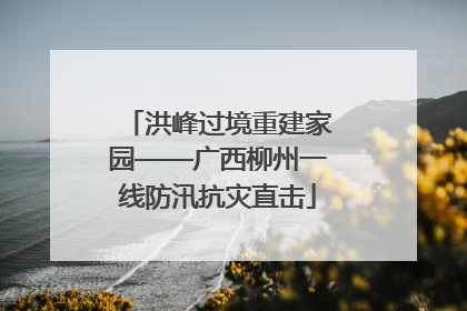 洪峰过境重建家园——广西柳州一线防汛抗灾直击