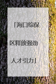 海口综保区释放强劲人才引力