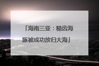 海南三亚：糙齿海豚被成功放归大海