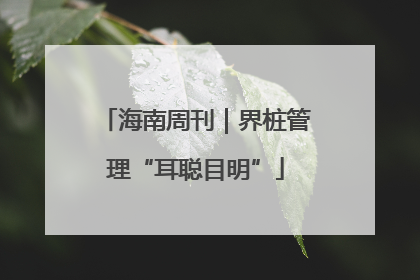 海南周刊｜界桩管理“耳聪目明”