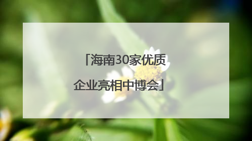 海南30家优质企业亮相中博会