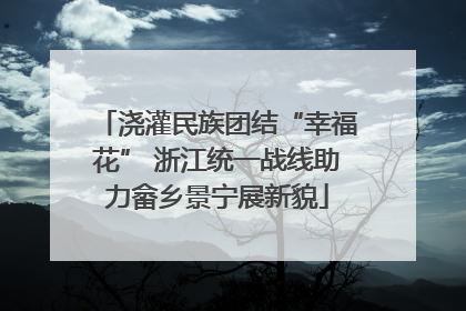 浇灌民族团结“幸福花” 浙江统一战线助力畲乡景宁展新貌