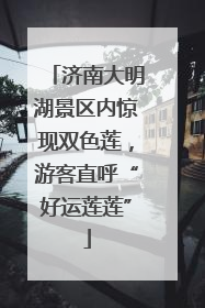 济南大明湖景区内惊现双色莲，游客直呼“好运莲莲”