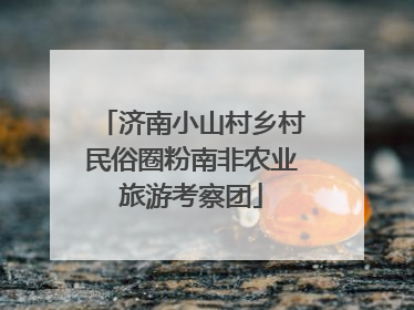 济南小山村乡村民俗圈粉南非农业旅游考察团