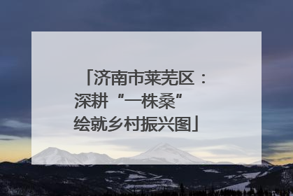 济南市莱芜区：深耕“一株桑” 绘就乡村振兴图