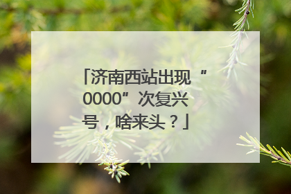 济南西站出现“0000”次复兴号，啥来头？
