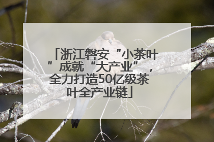 浙江磐安“小茶叶”成就“大产业”，全力打造50亿级茶叶全产业链