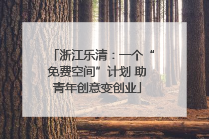 浙江乐清：一个“免费空间”计划 助青年创意变创业