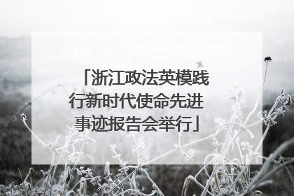 浙江政法英模践行新时代使命先进事迹报告会举行
