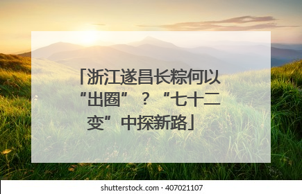 浙江遂昌长粽何以“出圈”？“七十二变”中探新路