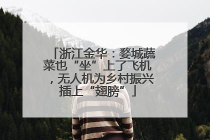 浙江金华：婺城蔬菜也“坐”上了飞机，无人机为乡村振兴插上“翅膀”