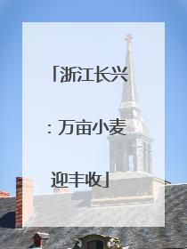 浙江长兴：万亩小麦迎丰收
