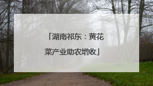 湖南祁东：黄花菜产业助农增收