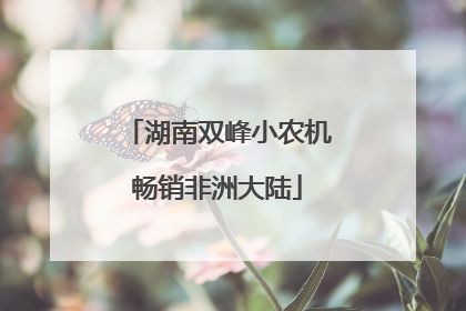 湖南双峰小农机畅销非洲大陆