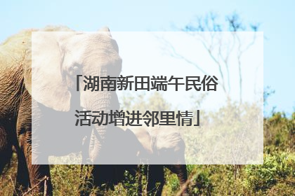 湖南新田端午民俗活动增进邻里情