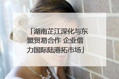 湖南芷江深化与东盟贸易合作 企业借力国际陆港拓市场